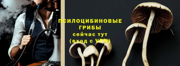 mdpv Иннополис
