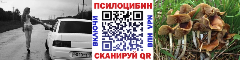 Купить  Спас-Деменск  Псилоцибиновые грибы GOLDEN TEACHER 